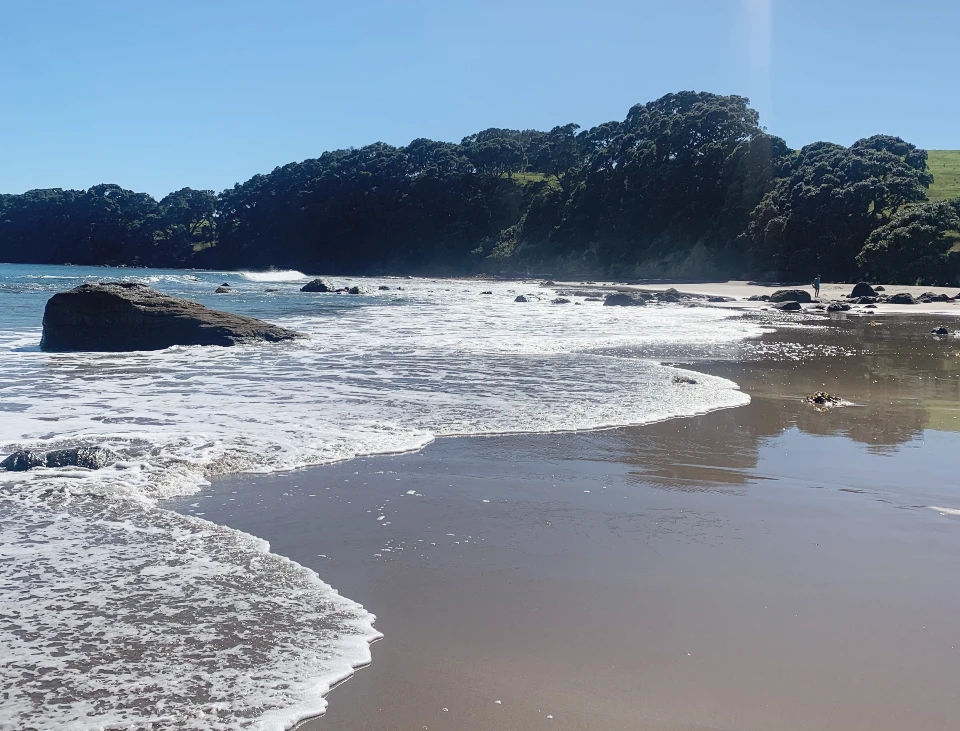 Navigating the tides: franchise business growth prospects in 2024