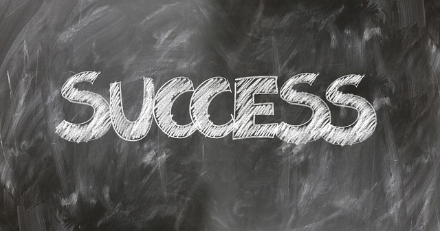 What makes a Franchisee successful?