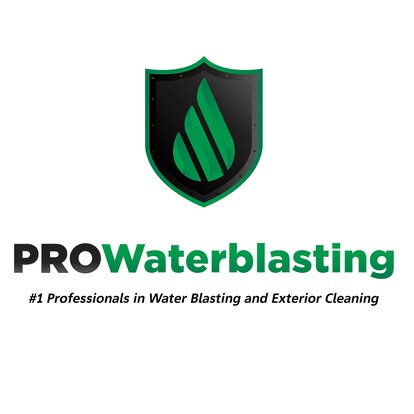 Pro Waterblasting