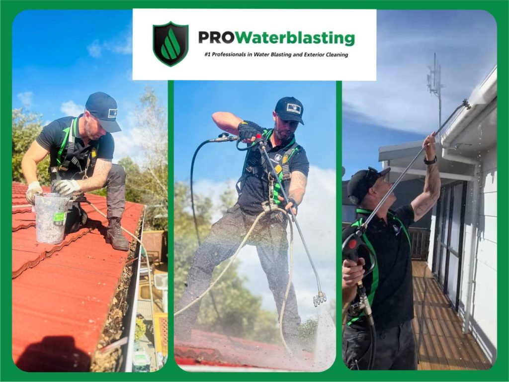 in action
